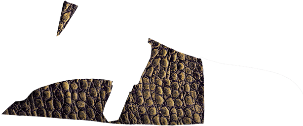 Fantasia-cocodrilo Chocolate - Wallet (860x400), Png Download