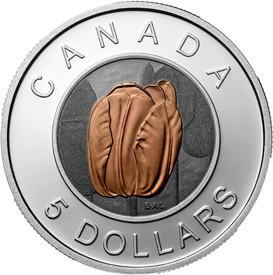 2014 Fine Silver Coin 5$ Tulip - Silver (570x570), Png Download