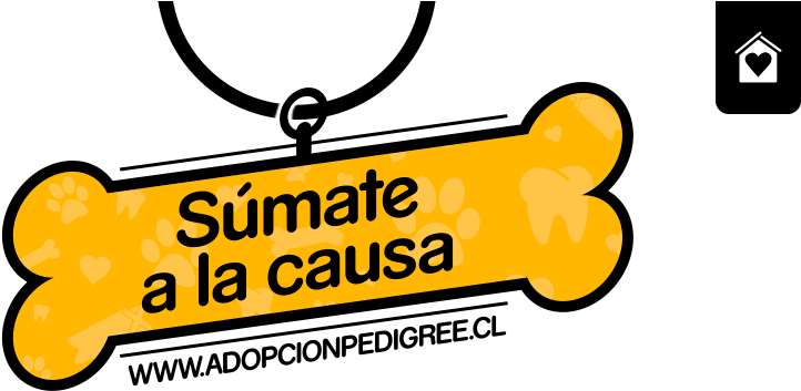 Adopción Pedigree® En Cifras - Adoption (988x419), Png Download