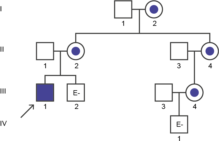 Fabry Disease Pedigree Analysis Case Study - Diagram (1333x474), Png Download