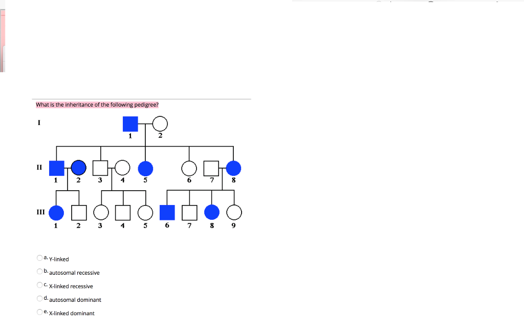 What Is The Inheritance Of The Following Pedigree Y - Diagram (1024x640), Png Download
