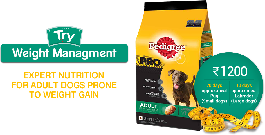 Pedigree Jelly Chicken, Rice Dog Food (913x465), Png Download