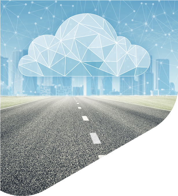 Avi Networks (615x731), Png Download