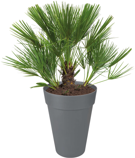 Home > Collection > Loft Urban Round High - Flowerpot (750x750), Png Download