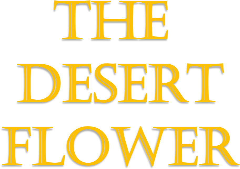 The Desert Flower - Cowboys Forever (1162x920), Png Download