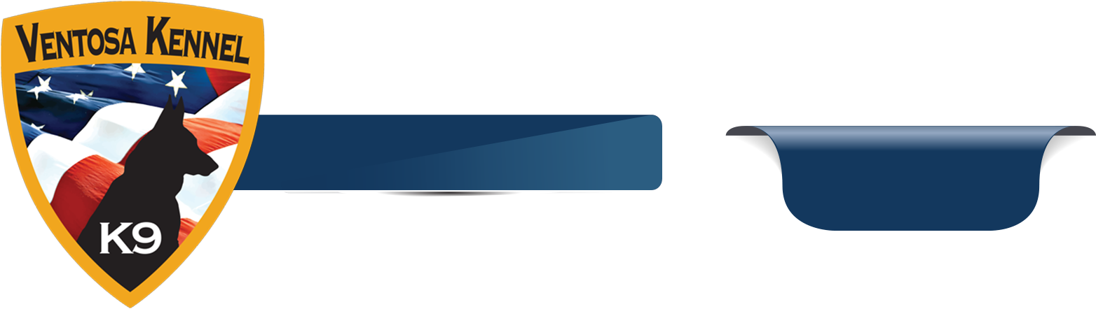 252 370 - Rear-view Mirror (1590x458), Png Download