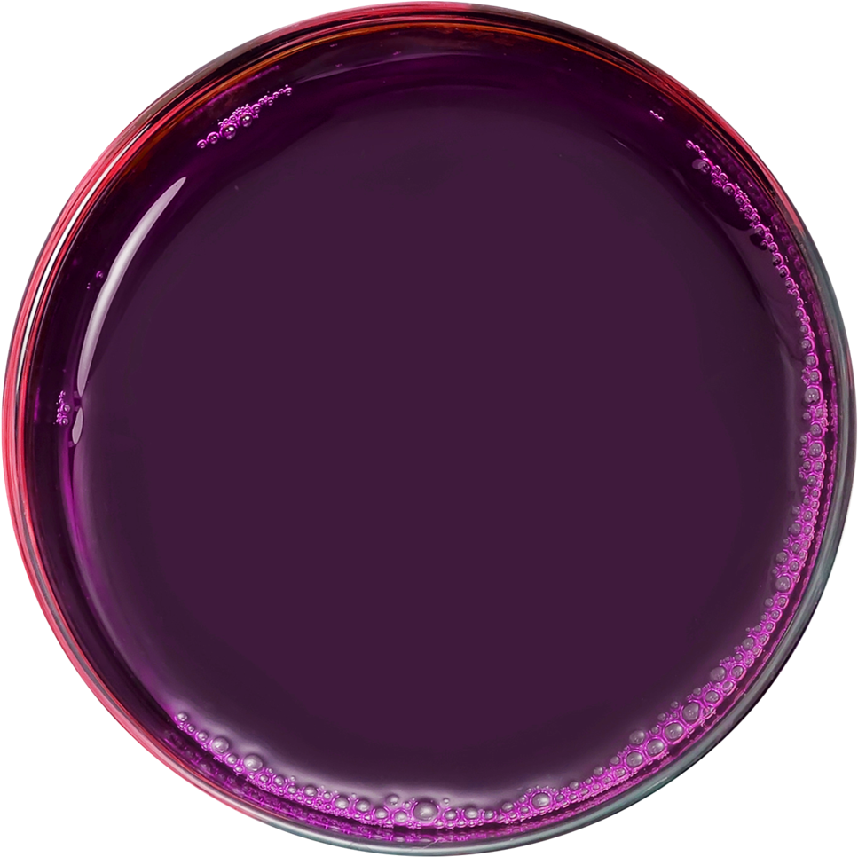 Purplejuice - Circle (1000x1000), Png Download