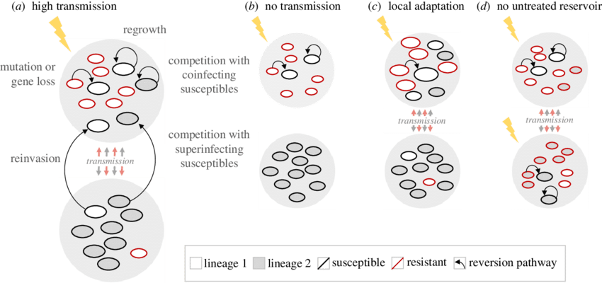 Within-host Reversion Is Influenced By Transmission - Nyse:de (850x400), Png Download