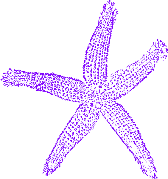 Starfish Clipart Purple Starfish - Fish Clip Art (564x599), Png Download