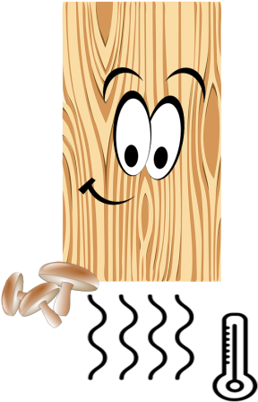 Wood Decomposition - Flirty Smiley Face Trucker Hat, Adult Unisex, White (570x667), Png Download