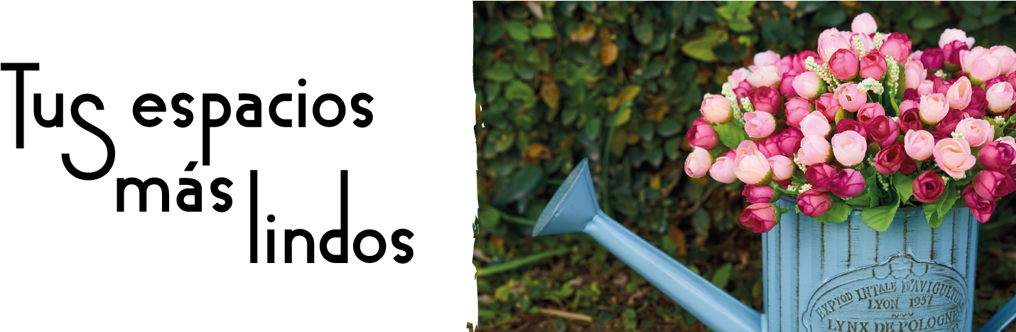 Reloj De Chapa Color Con Soga Para Ver Reloj De Chapa - Tulip (1536x466), Png Download