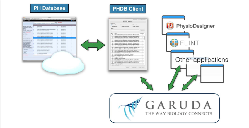 Schematic Diagram Showing How The Ph Database Interoperates - Database (850x438), Png Download