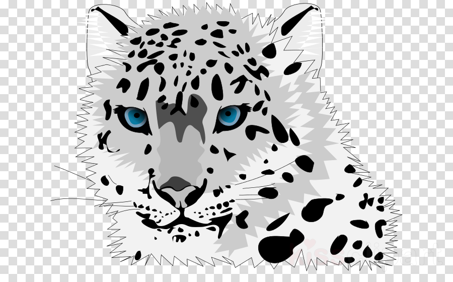 Clipart Resolution 708*543 - Cute Snow Leopard Clipart (900x560), Png Download
