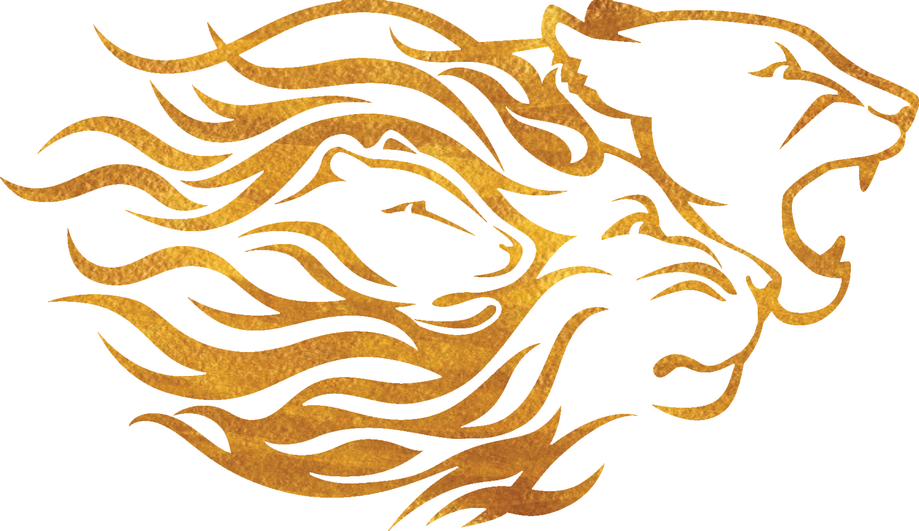 Above Nav Container - Widener University Pride (1795x1038), Png Download