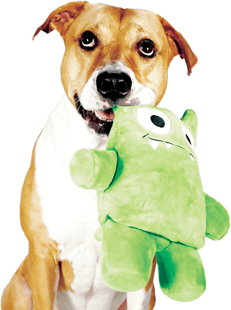 Dog Happily Holding On To Her Tearrible, A Plush Dog - Tearrible Dog Toy (749x1005), Png Download