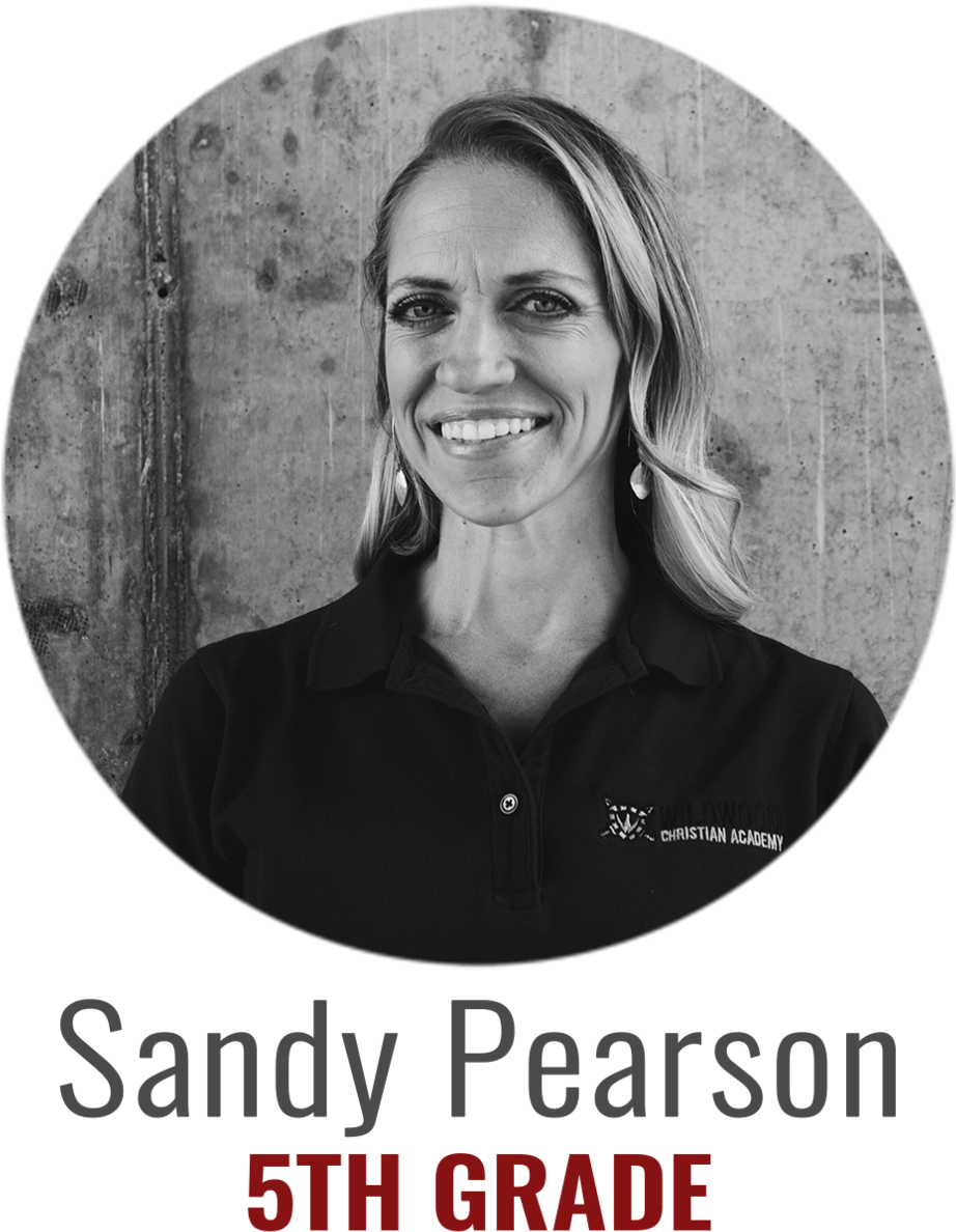 Wca Staff Sandy - Portable Network Graphics (1000x1258), Png Download