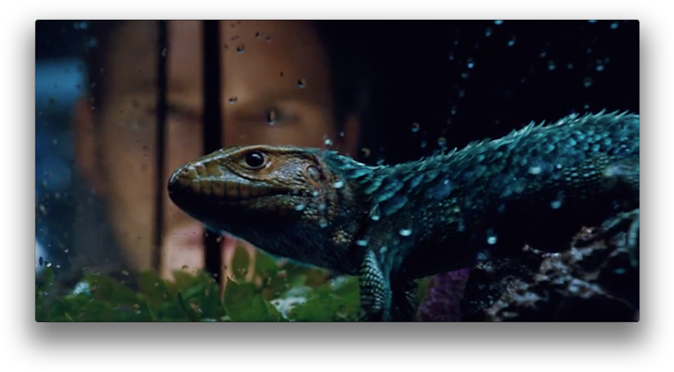 Jurassic World Nods To Feathered Dinosaurs - Alligator Lizard (968x542), Png Download