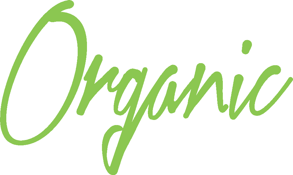 On - Calligraphy (977x585), Png Download
