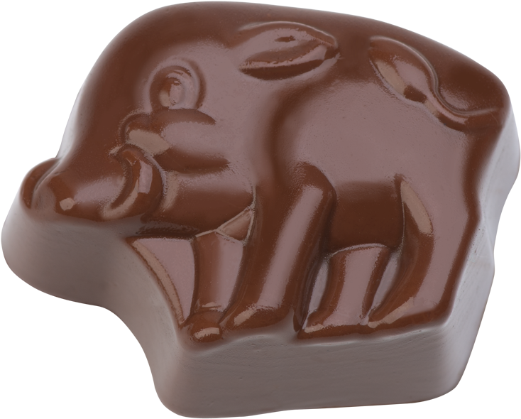 Praline "wild Boar" - Chocolate Boar (800x800), Png Download