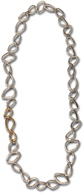 Erin 1-gold, Silver Necklace - Chain (730x730), Png Download
