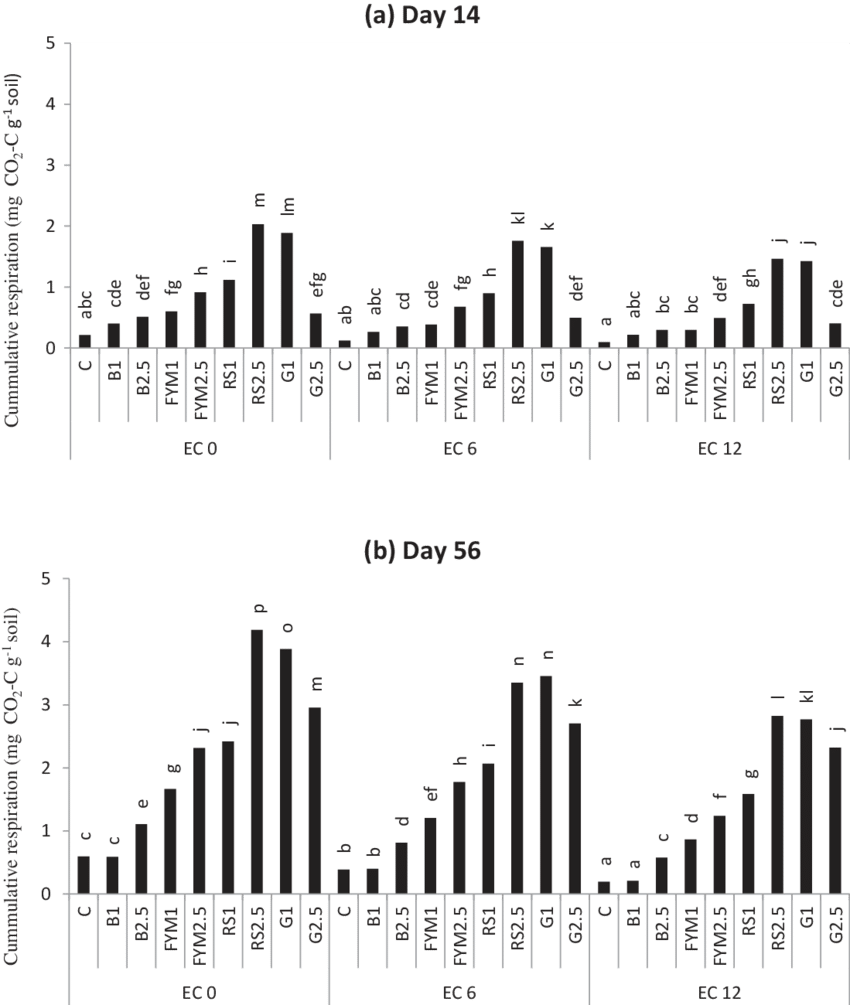Cumulative Respiration In Soil Samples Irrigated With - Metropolitan Area (850x1005), Png Download