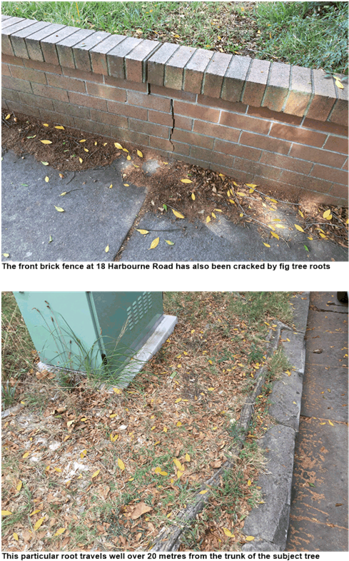 Attachment - Grass (641x930), Png Download