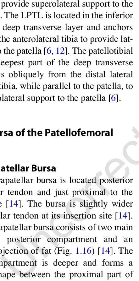The Deep Infrapatellar Bursa In Relation To The Patella - Met Your Mother Quotes (442x895), Png Download