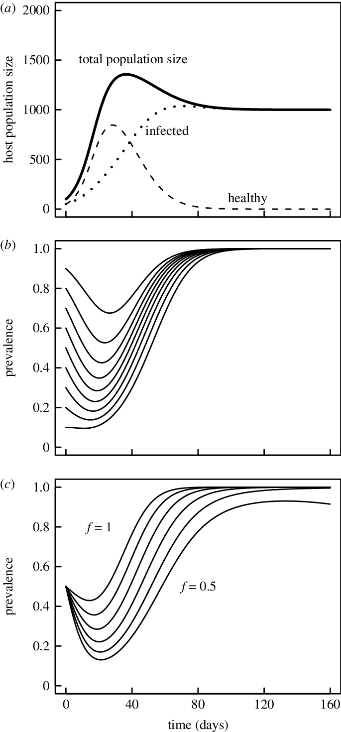 Dynamics Of Host And Parasite In The Epidemiological - Diagram (685x1470), Png Download
