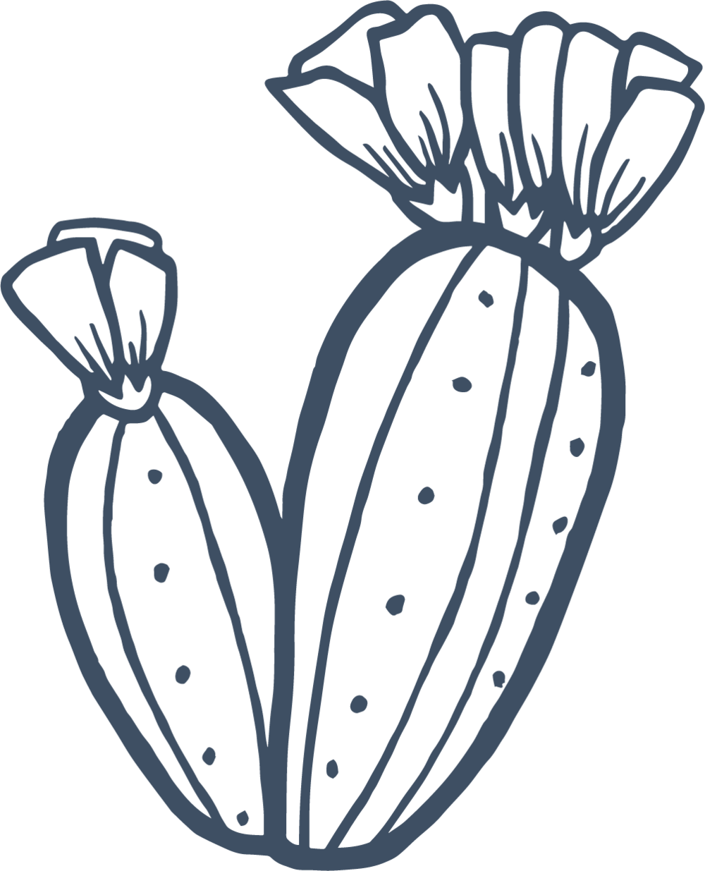 Hot Weather // Fast Food // Being High Maintenance - Cactus Blue (1000x1235), Png Download