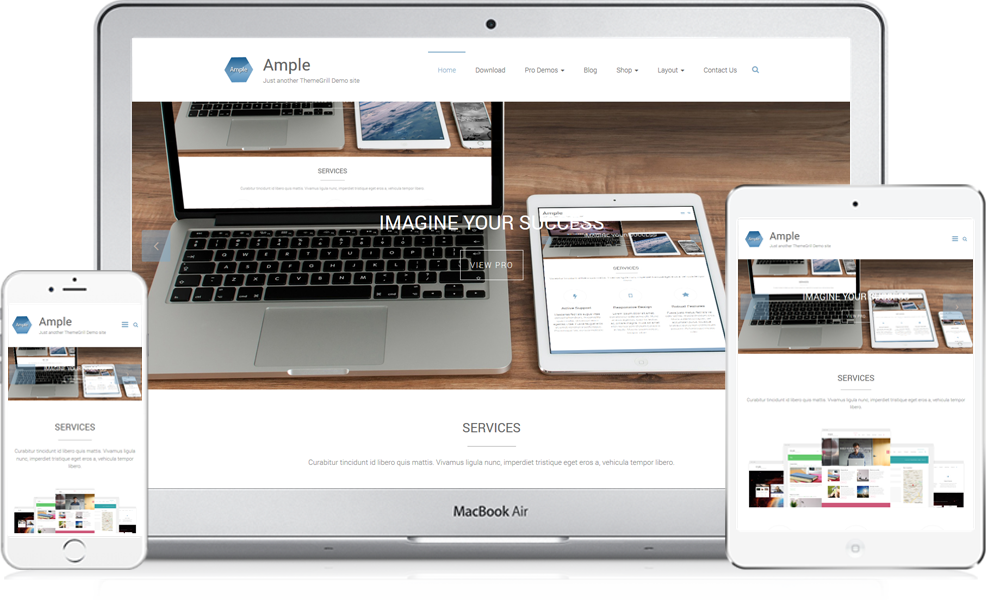 Ample Wordpress Theme (986x600), Png Download