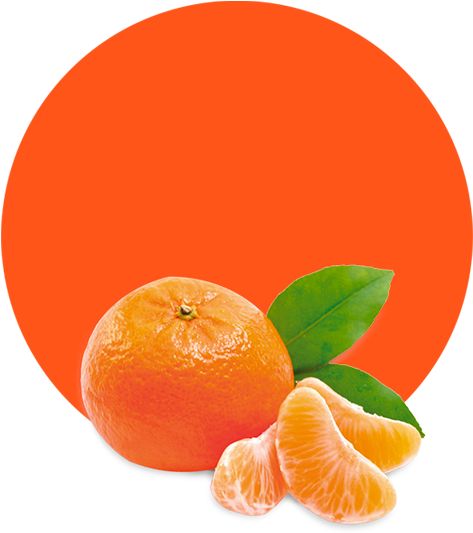 Clementine Oil - Shampoo Hempseed By The Wonder Seed (536x595), Png Download