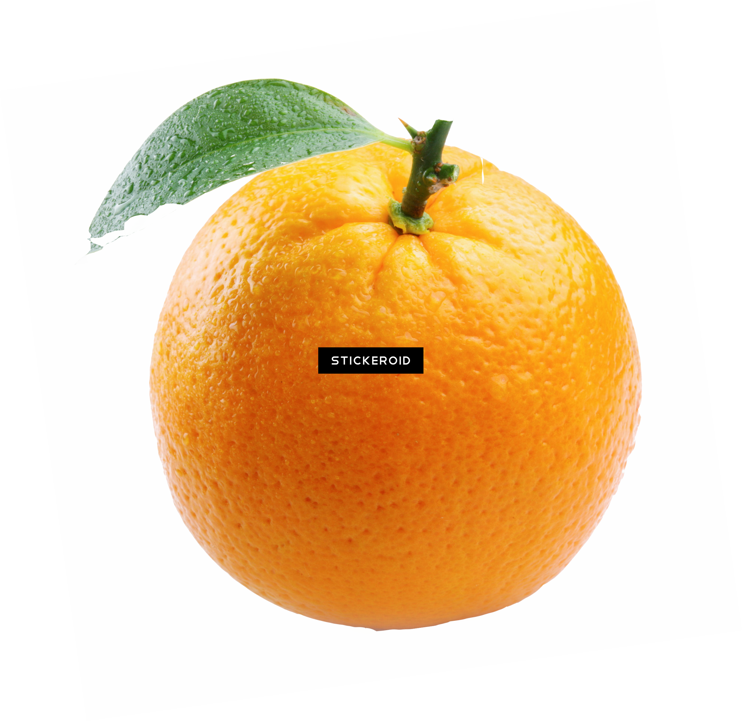 Png - Big Orange (2539x2468), Png Download