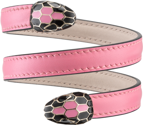Strap (807x630), Png Download