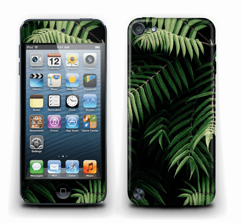Tropics - Ipod Touch Softball Cases (800x736), Png Download
