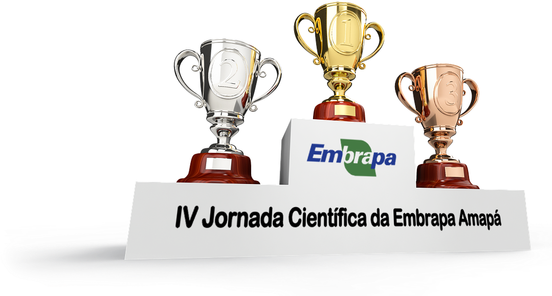 Participe Desta Jornada Onde Todos Saem Ganhando - 1st 2nd 3rd Place (1078x682), Png Download