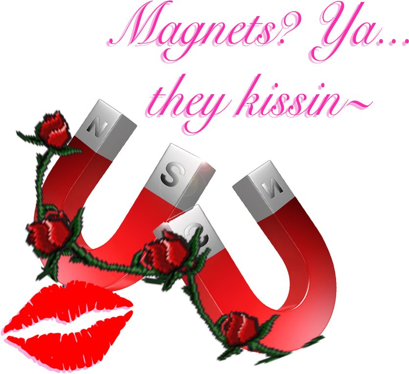 Magnets Ya They Kissin~ ❤ [transparent] - Kiss Me Its My 22nd Birthday Shot Glass (986x1000), Png Download
