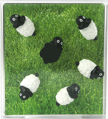 Trendform Ag Magnete Pecora Bnc/nr 6pz (750x1000), Png Download