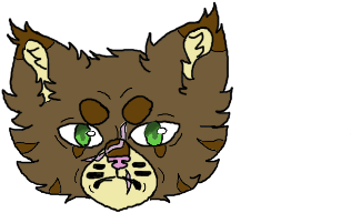Head Icon - Cat (1600x1200), Png Download