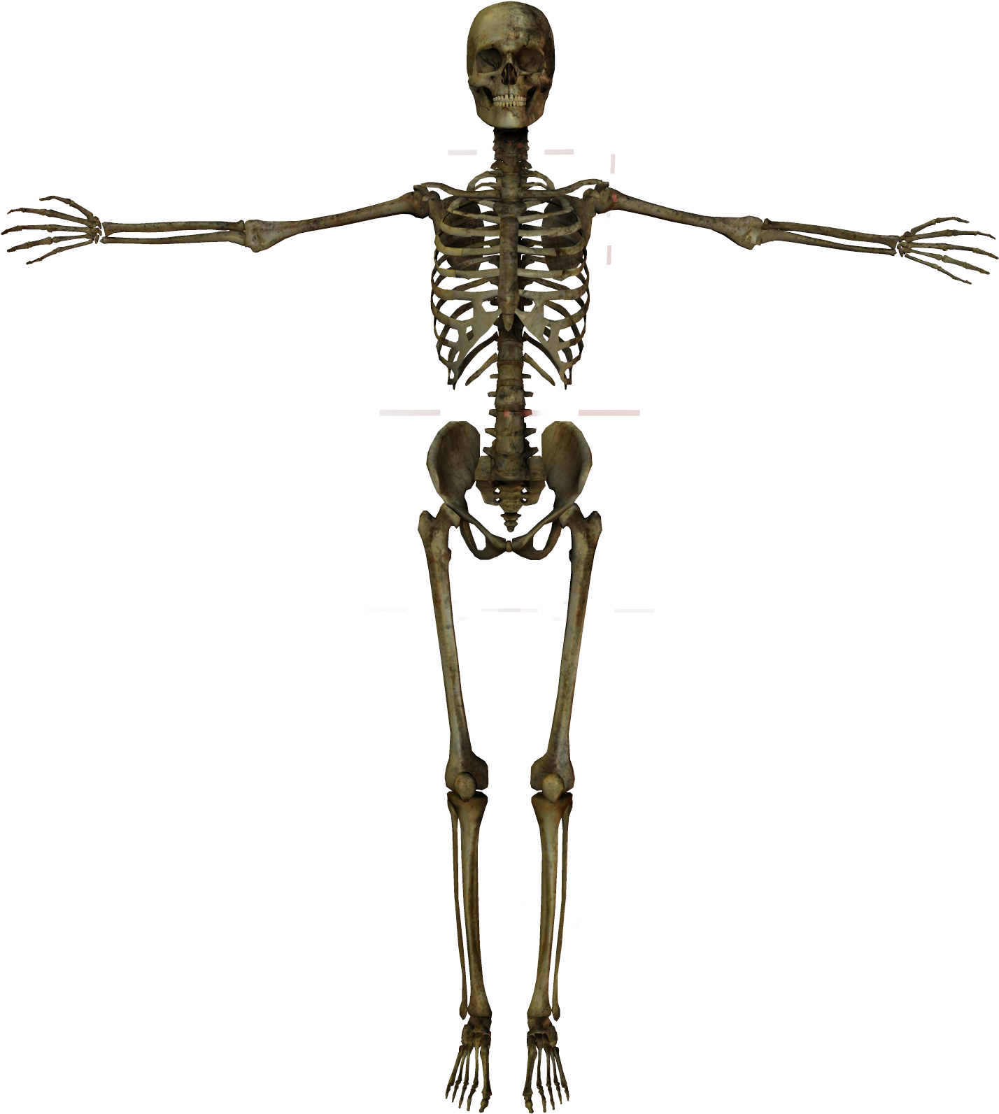 Related Wallpapers - Human Body Png Gif (1450x1600), Png Download