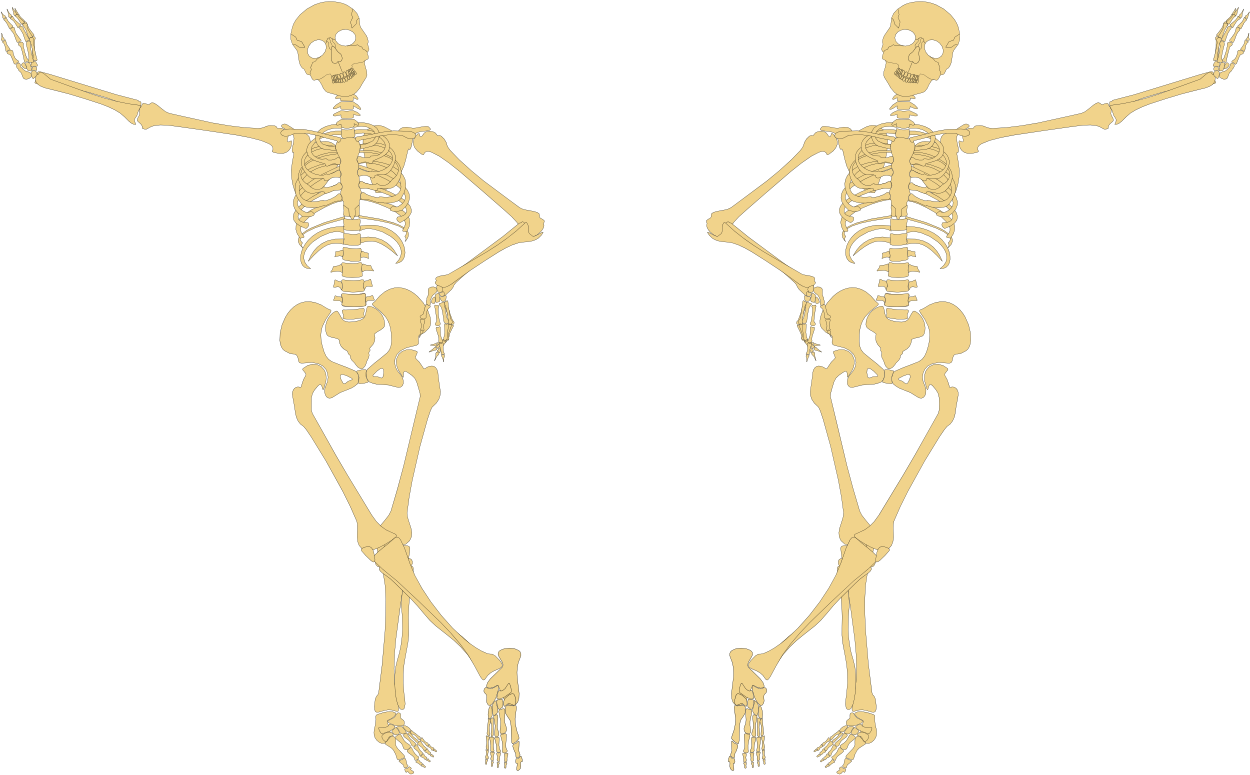 Esqueleto - Underlying Bone (1280x800), Png Download