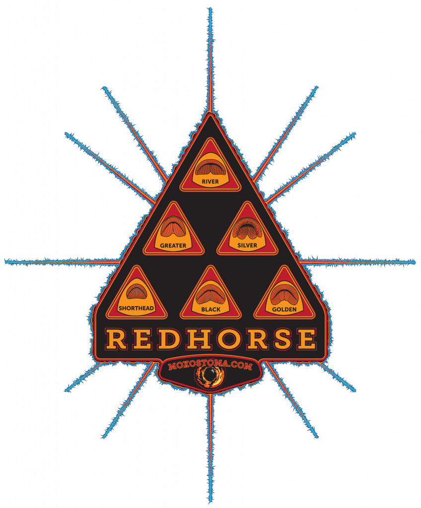 A Fancier Take On The Pyramid Of Lips - Redhorse Army Tote Bag, Adult Unisex, Natural (848x1024), Png Download
