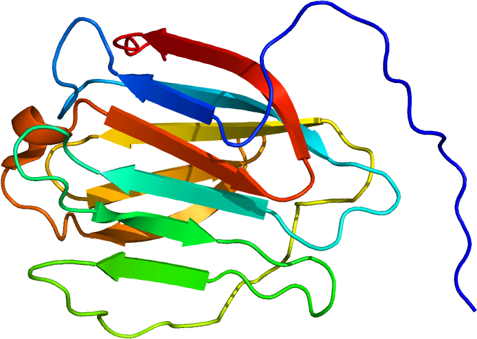 Protein Lgals8 Pdb 2yro - Protein (1200x1000), Png Download