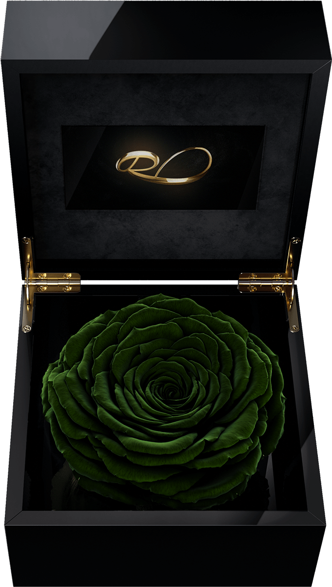 Luxury Video Flower Box Magna With A Xl Preserved Dark - Box (1500x1500), Png Download