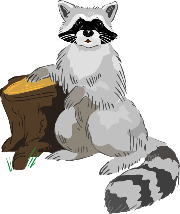 Free Raccoon Clipart - Raccoon Clip Art Free (630x750), Png Download
