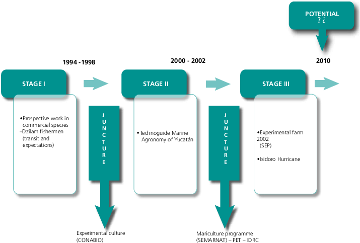 The Developmental Process Of Seaweed Farming In Yucatan, - Process Of Seaweed Cultivation (721x490), Png Download