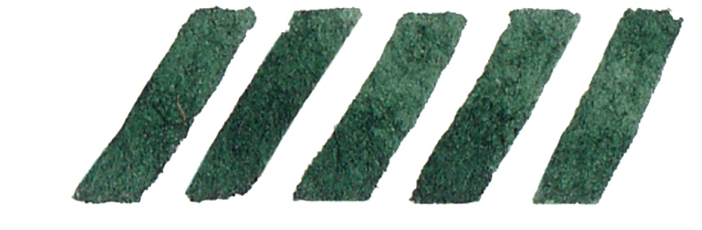 Green Seaweed Transparent Decorative - Artificial Turf (1024x336), Png Download