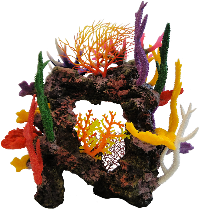 Mixed Coral On Natural Coloured Rock Aquarium Ornament - Marine Invertebrates (700x700), Png Download