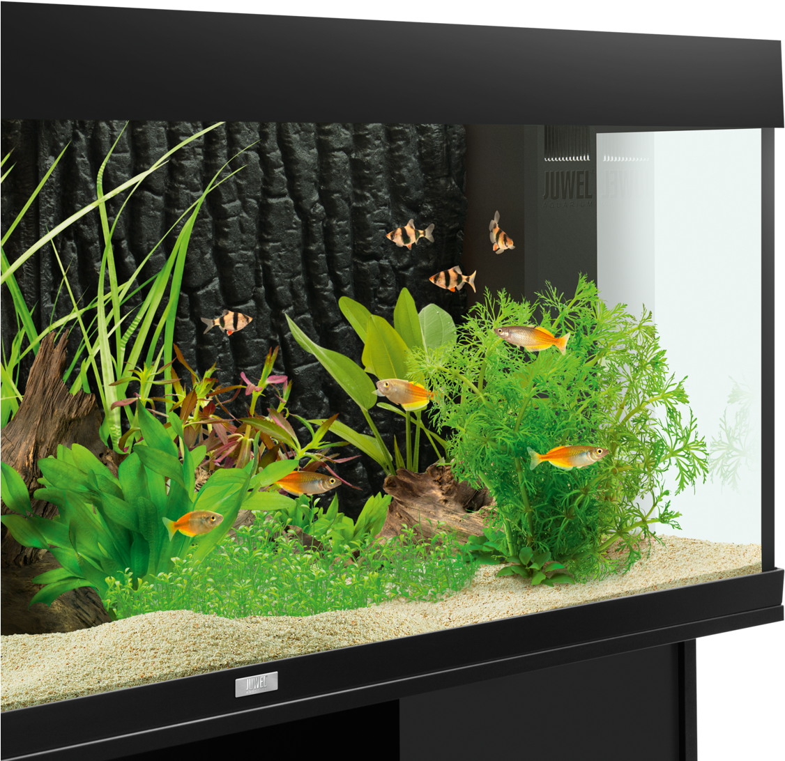 Find Dealer Facebook E-mail - Juwel Str 600 Background Review (1195x1195), Png Download