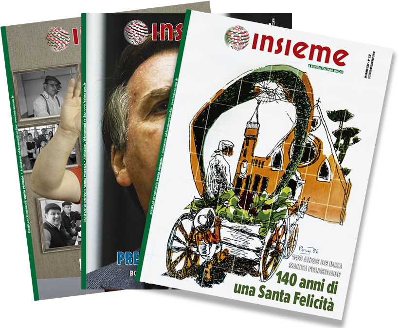 Assinatura Anual Da Revista Insieme Brasil - Flyer (848x700), Png Download
