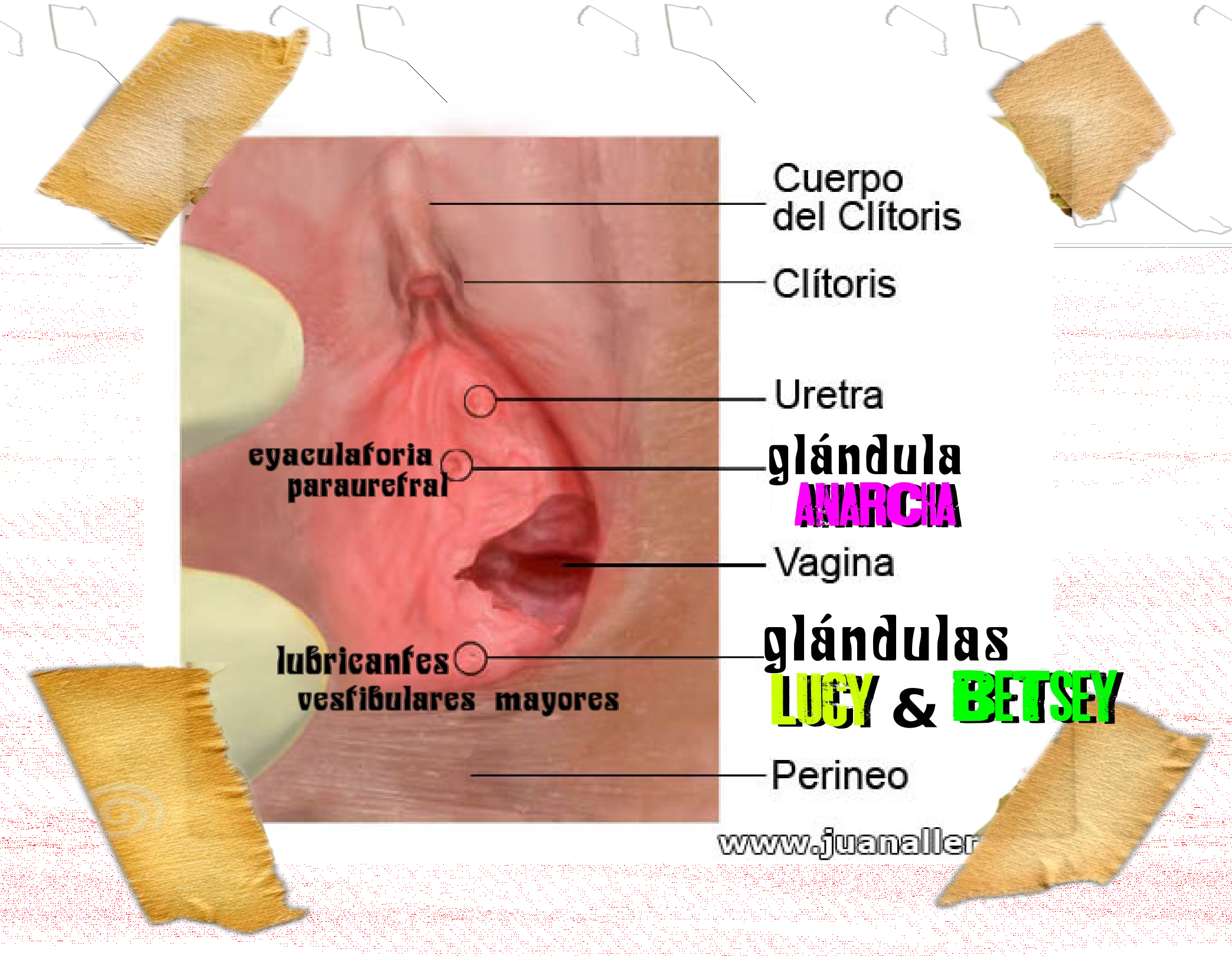 In Honor Of The Enslaved Women Who Were Victims Of - Dosa (2087x1619), Png Download